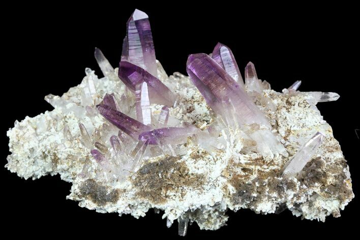 Amethyst Cluster - Las Vigas, Mexico #84397